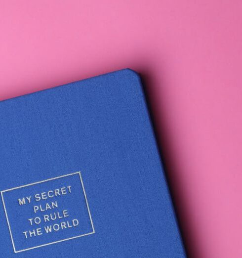 Journal - My Secret Plan to Rule the World Book