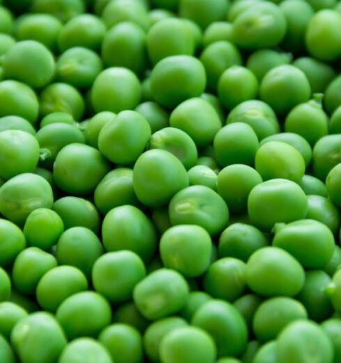 Diet - Full Frame Shot of Green Peas