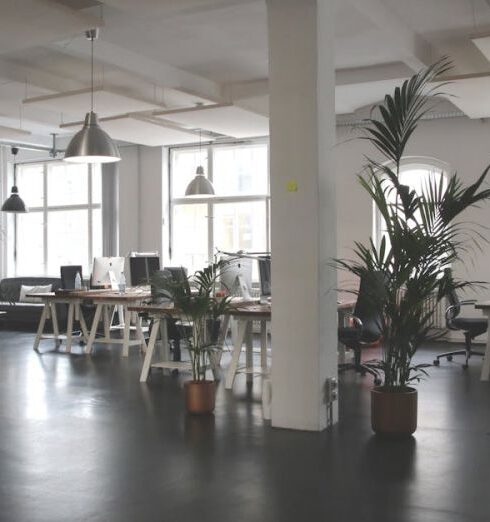 Office - Green Leafed Plants