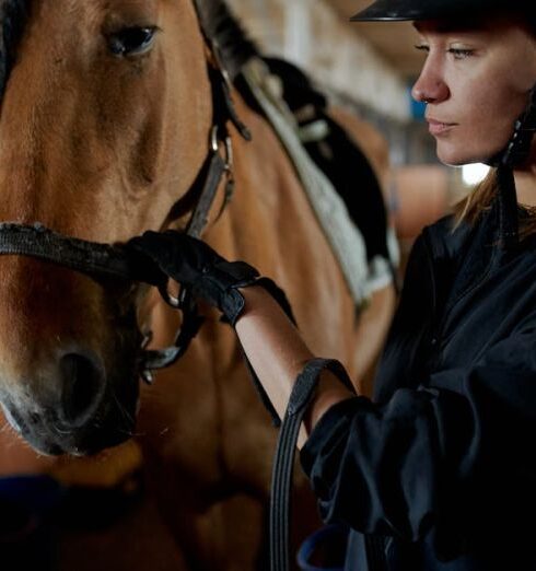 Pet - Pensive woman stroking horse in stable