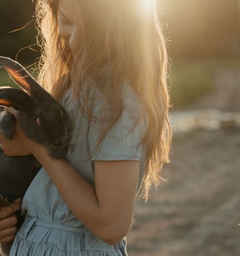 Pet - Woman in Blue Dress Holding Black and Brown Short Coated Dog