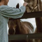 Pet - Woman in Blue Dress Standing Beside Brown Horse