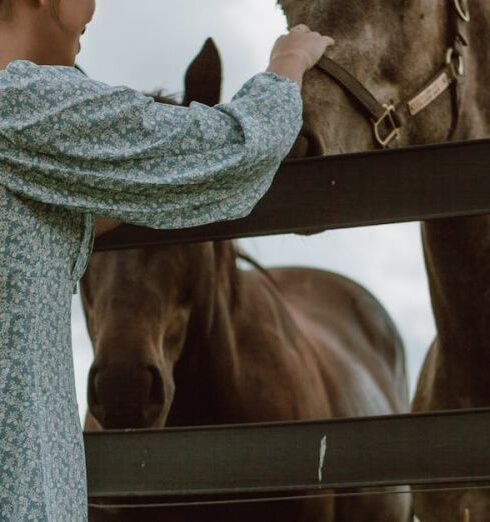 Pet - Woman in Blue Dress Standing Beside Brown Horse