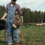 Pet - Boy in Blue Polo Shirt and Blue Denim Jeans Standing Beside Brown Horse