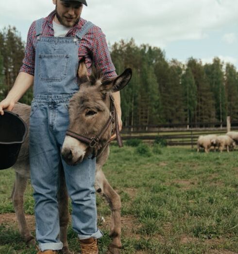 Pet - Boy in Blue Polo Shirt and Blue Denim Jeans Standing Beside Brown Horse