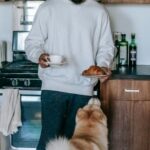 Pet - Black man standing with cup of coffee and croissant near Akita Inu