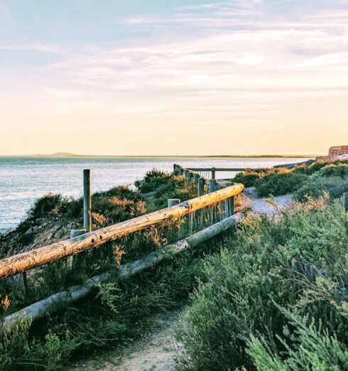 Zones - Path and Fence on Seashore