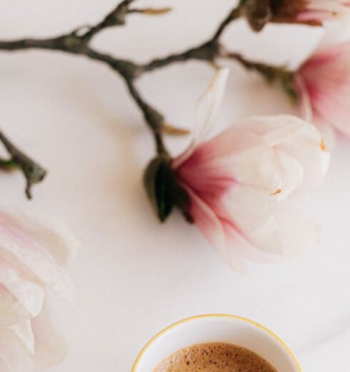 Weekend - Cup of coffee and blooming branch