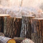 Log - Depth of Field Photography of Brown Tree Logs