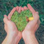 Environment - Person Holding Green Grains