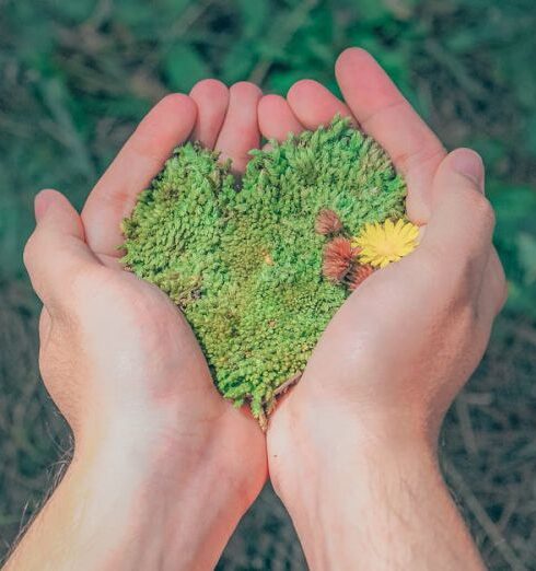 Environment - Person Holding Green Grains