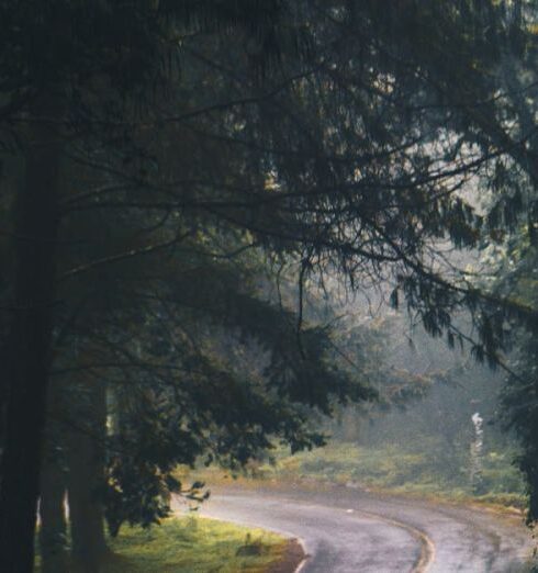 Ways - Photography of Asphalt Road Near Trees