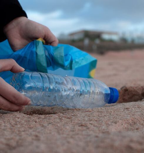 Volunteering - Person Holding Clear Plastic Bottle