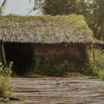 Shelter - Brown Nipa Hut Photo