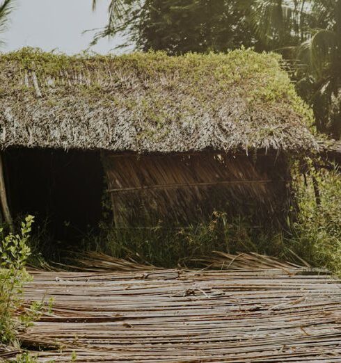 Shelter - Brown Nipa Hut Photo