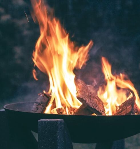 Fire Pit - Photography of Wood Burning on Fire Pit