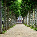 Garden - Pathway Between Trees Towards House