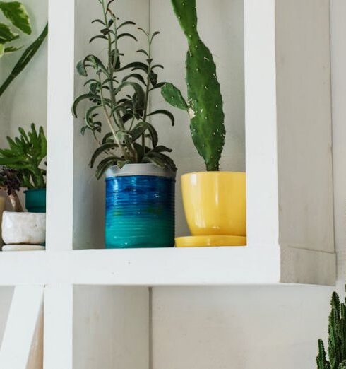 Planters - Gray shelf with decorative construction in shape of LOVE word placed near white wall with potted succulents and other houseplants in soft daylight