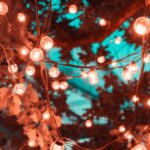 Lights - Brown String Lights in Tree