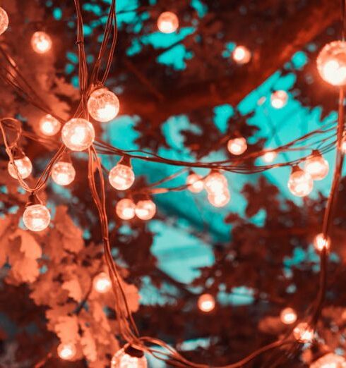 Lights - Brown String Lights in Tree