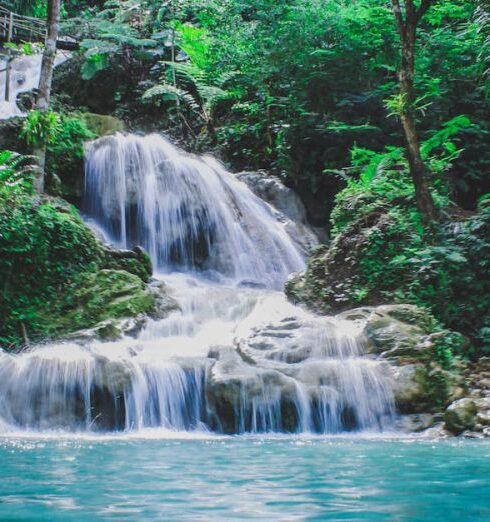 Waterfalls - Photography Of Waterfalls Between Trees