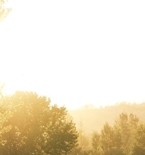 Travel Light - Sunlit Road with Car at Dawn