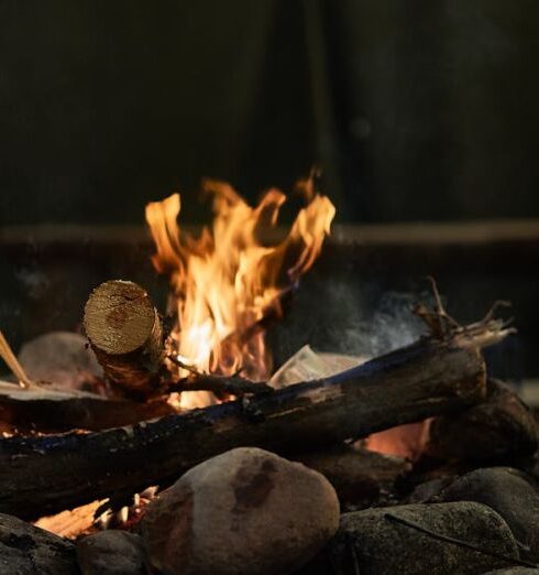 Campfire - Burning Wood Above Rocks