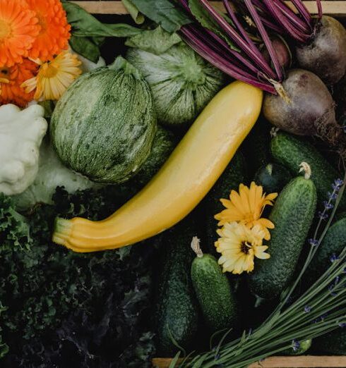 Edible Plants - Vegetables in a Box