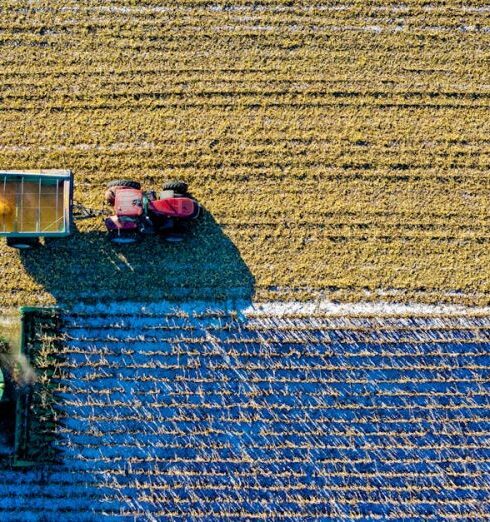 Farming - Top View of Green Field