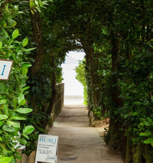 City Escape - Pathway with inscriptions between greenery trees in urban garden