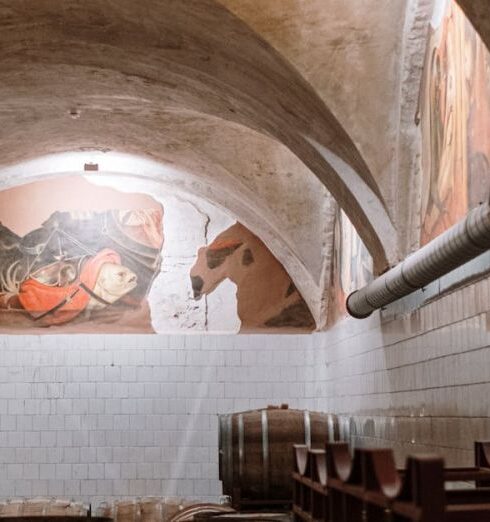 Wine Tours - Wooden Barrels in a Storage