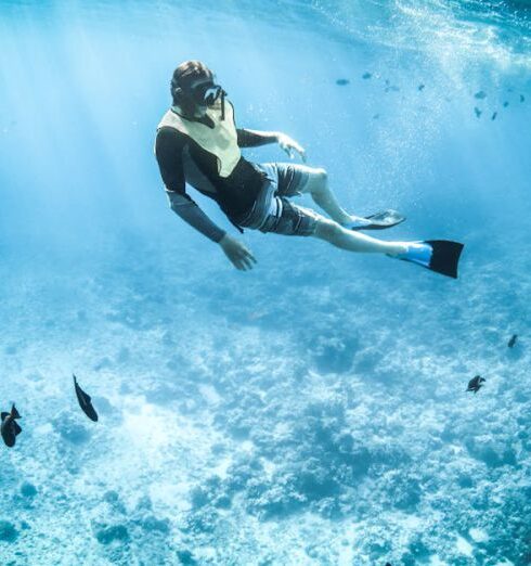 Snorkeling - Photo of a Person Snorkeling