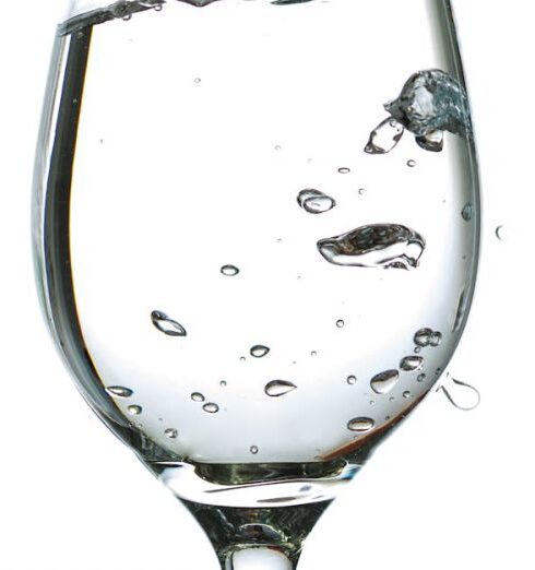 Drink Water - Wine Glass