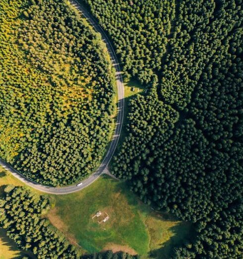 Road Trips - Aerial Photography of Green Trees