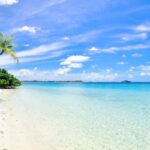 Beaches - Landscape Photography of Trees on Shoreline