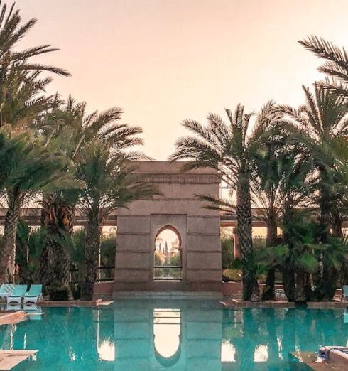 Luxury - Swimming Pool Surrounded Trees