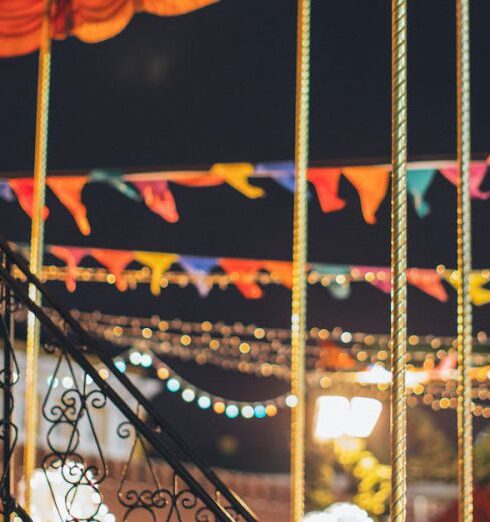 Theme Parks - Colorful carousel in amusement park at night