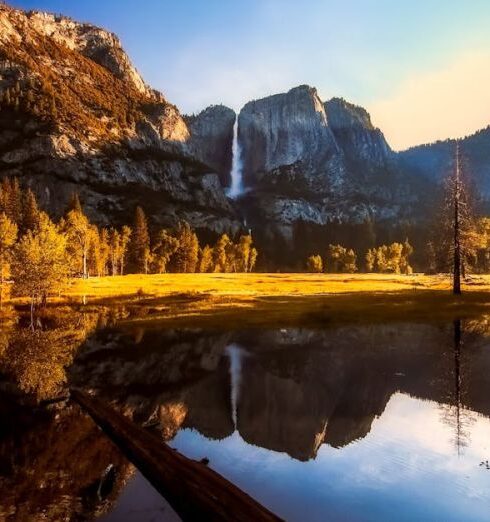 National Parks - Forest Near Body of Water