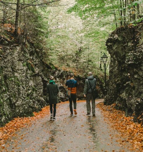 Adventure Vacations - People Walking on Pathway Between Green Trees