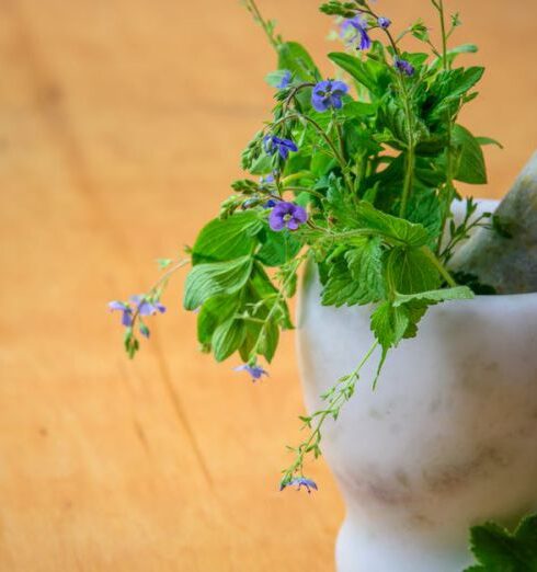 Health - Purple Petaled Flowers in Mortar and Pestle