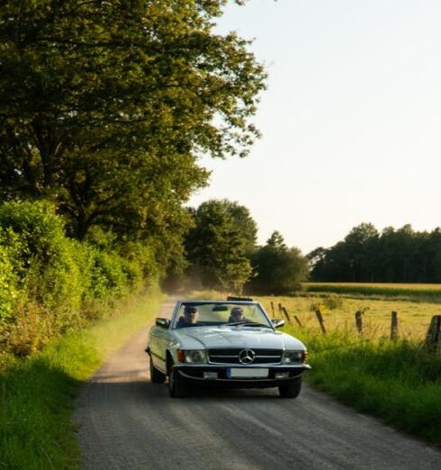 Drives - Classic Mercedes Driving on Scenic Summer Road