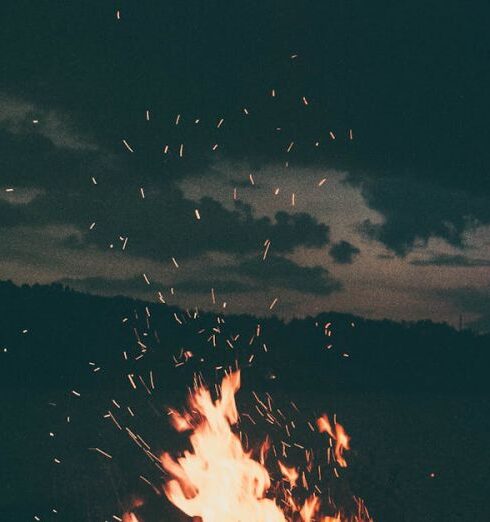 Camp - Lit Bonfire Outdoors during Nighttime