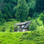 Scenery - Brown Wooden House Surrounded by Green Trees