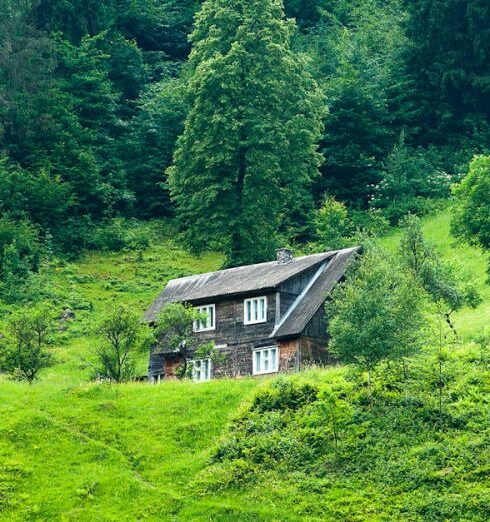 Scenery - Brown Wooden House Surrounded by Green Trees