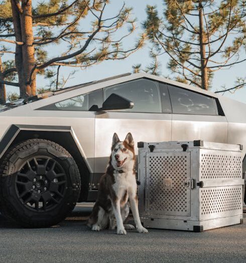 Dog-Friendly - Top Raw Aluminum Dog Crates for Siberian Huskies: Perfect for Mountain Peaks and Tesla Cybertruck Expeditions