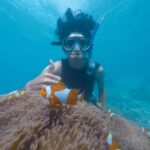 Snorkeling - Photo of Person Swimming Near School of Clown Fish