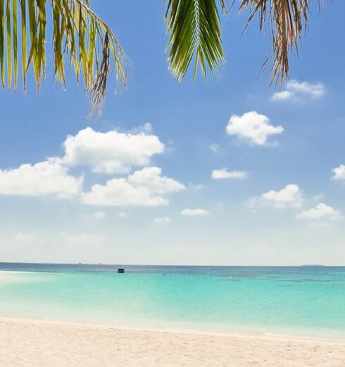 Caribbean - Parked Boat