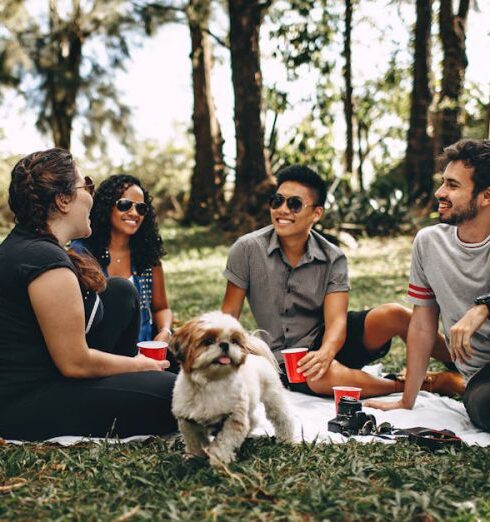 Picnic - Group of People Sitting on White Mat on Grass Field