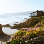 Beach House - Beige and Brown House and Seashore