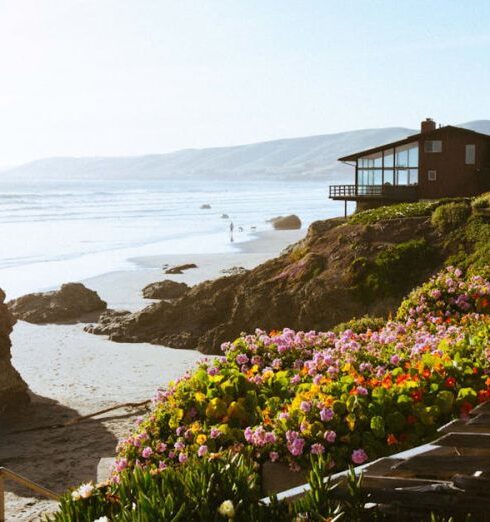 Beach House - Beige and Brown House and Seashore